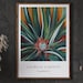 Georgia O’keeffe Poster, Pineapple Bud - 1939, Trendy Beautiful Large ...