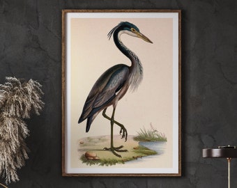Vintage Heron Animal Poster, Living Room Wall Art (Instant Download)