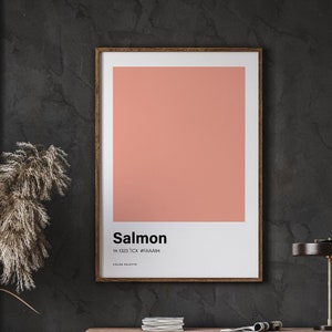 Salmon Color Poster Print, Great Color Scheme, Minimalistic Design, Trending Colour Print, Nordic Poster Art, Instant Download