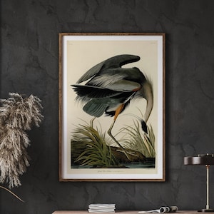 Cartel de animales vintage, gran garza azul, carteles premium, galería de pared, arte de pared, sala de estar, descarga instantánea