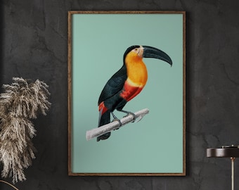 Vintage Toucan Art Print, Tropical Bird Wall Decor (Digital Download)