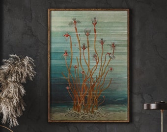 Impression d'art Tubularia Indivisa antique, vintage Ocean Life (téléchargement numérique)