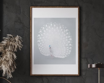 Japanese White Peacock Art Print, Ohara Koson Woodcut (Instant Download)