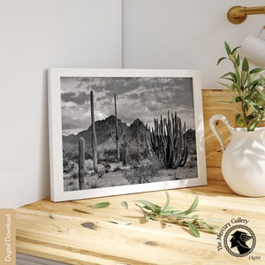 Vintage Black and White Desert Cactus Print, Southwestern Decor ...