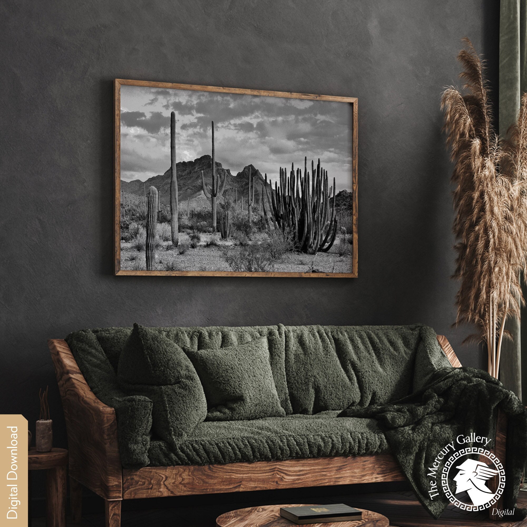 Vintage Black and White Desert Cactus Print, Southwestern Decor ...