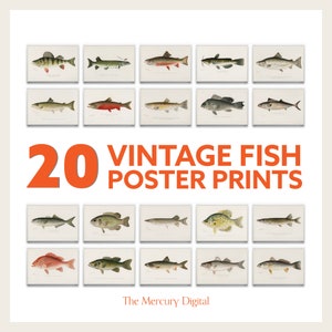 Vintage Fish Gallery Wall Set of 20, Fish Print, Fish Painting, Hand Drawn Fish Prints, Digital Download Bundle