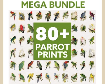 Parrot Art Prints Bundle Set, Set of 80 Parrot Poster Prints, Bird Wall Art, Tropical Wall Art