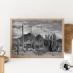 Vintage Black and White Desert Cactus Print, Southwestern Decor ...