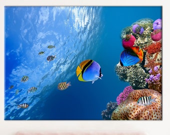 Tropical Fish Canvas Art: Underwater Coral Reef Wall Decor