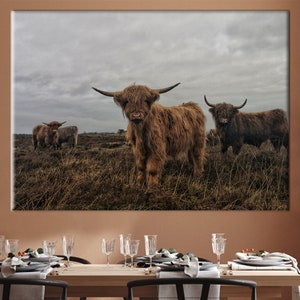 Highland Cow Print Removable Wallpaper Longhorn Wall Art Bedroom