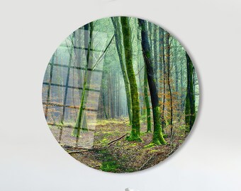 May include: A circular print of a misty forest with tall trees covered in moss. The trees are green and brown with a light green undergrowth.