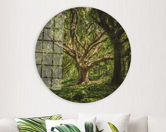 May include: A large, gnarled tree with thick branches and green leaves stands in a lush forest setting. The tree is surrounded by ferns and other foliage, creating a sense of peace and tranquility.