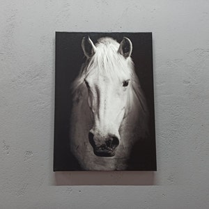 White Horse Photo Print, Horse Printed, Modern Artwork, Horse Lover Gift Art, Contemporary Wall Art, Horse Photo Wall Art, Animal Wall Art,