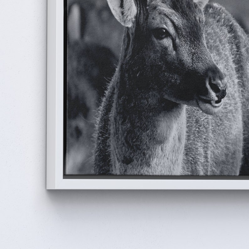 Deer Wildlife Photo Print, Loft Poster, Deer Photo Canvas, Wildlife Canvas Art, Deer Printed, Animal Wall Art, Animalistic Printed, image 6