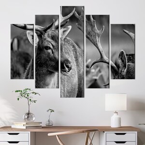 Deer Wildlife Photo Print, Loft Poster, Deer Photo Canvas, Wildlife Canvas Art, Deer Printed, Animal Wall Art, Animalistic Printed, image 5