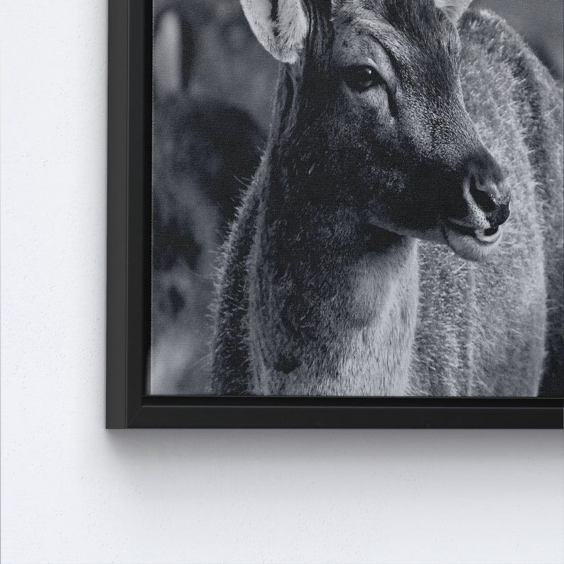 Deer Wildlife Photo Print, Loft Poster, Deer Photo Canvas, Wildlife Canvas Art, Deer Printed, Animal Wall Art, Animalistic Printed, image 7