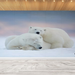 Stampa digitale di orsi polari, artigianato di carta di orso addormentato, stampa murale di animali, decorazione murale di orso bianco, pannelli di carta da parati, arte murale stampabile,