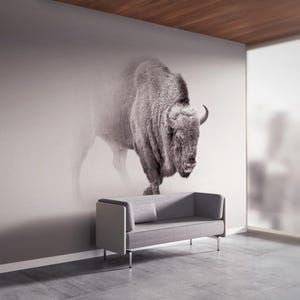 Pittura murale di bufalo, adesivi per pareti, arte di carta con animali, stampa murale di caverne per uomini, artigianato di carta con toro, decalcomania murale per loft, decorazione murale per camerette per ragazzi,