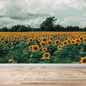 Modern Wall Decals, Paper Wall Art, Kitchen Digital Paper, Sunflower Field Landscape Wall Painting, Landscape Paper Craft, 3D Wall Paper,