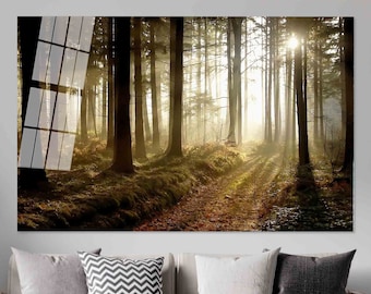 Härdat glasträdstak: Solnedgång i skogen och landskap