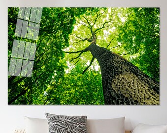 May include: A low angle view of a tall tree with a thick trunk and lush green leaves against a bright blue sky. The tree is surrounded by other trees, creating a dense forest canopy.