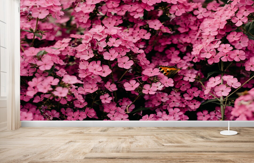 Pink Floral Wallpaper Mural: Botanical Wall Art, Peel and Stick - Etsy