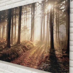 Canvas Print, Forest Path At Sunset, Painting on Canvas, Canvas Gift, Forest Landscape Printed, Forest 3D Canvas,