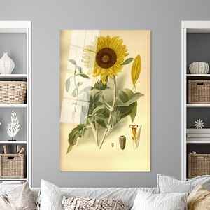 Impresión de pintura de girasol vintage, decoración de pared de vidrio, regalo de arte en vidrio, arte de pared de vidrio moderno, regalo de arte en vidrio para amantes de los girasoles.