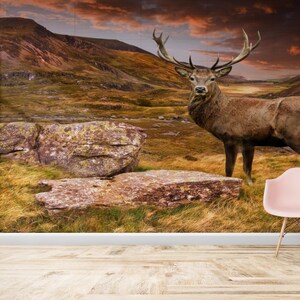 Créations artisanales en papier avec des cerfs, art mural animal, décalcomanies murales roches, papier peint magnifique cerf, papier peint élégant, papier peint par mètre, décoration de ferme