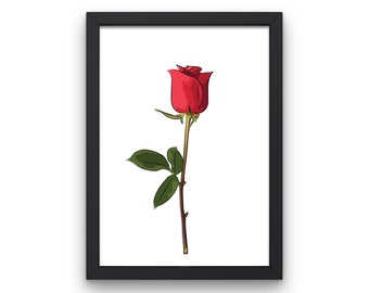 Red Rose Wall Art Print, Flower Wall Prints, Botanical Wall Prints, Digital Download Wall Prints