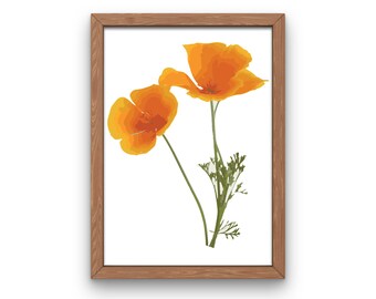California Poppy Wall Art Print, Orange Wildflower Print