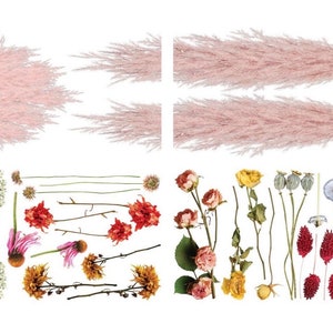 May include: A collection of dried flowers and grasses, including pink pampas grass, red and orange flowers, yellow roses, and white baby's breath.