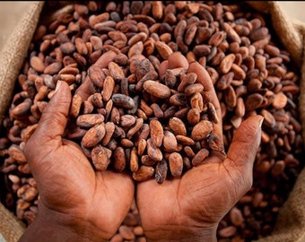 100% ORGANIC DRIED CACAO Beans 1KG (Ghanaian)
