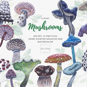 Watercolor and gouache Mushrooms and Fungi Clipart
