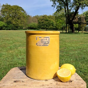May include: A yellow ceramic crock with a label, on a wooden stool. Two lemons, one cut in half, are next to the crock. The scene is outdoors with a green lawn and trees. The crock is approximately 30 cm tall.