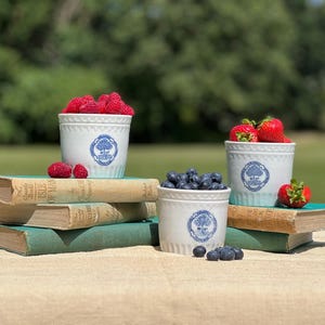 May include: Three white ceramic bowls with blue and white tree designs, filled with raspberries, strawberries, and blueberries. The bowls are sitting on a stack of vintage books.