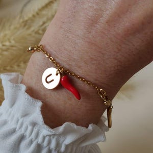 Può includere: Un braccialetto a catena dorata con un ciondolo a forma di peperoncino rosso e un ciondolo a forma di disco dorato con la lettera "U" incisa.
