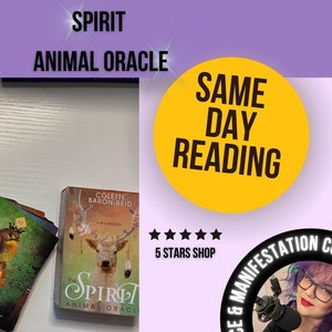 Mazzo di carte dell'oracolo degli animali spirituali, lettura intuitiva chiaroveggente, lettura spirituale generale nello stesso giorno, lettura nello stesso orario