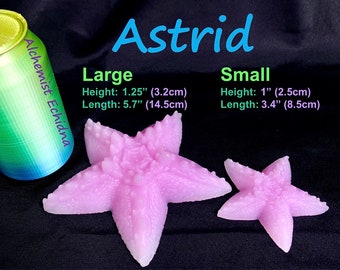 Starfish Silicone Toy Set of 2 Sizes - Made to Order - Silicone Squish Toy