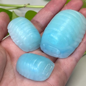 Puede incluir: Tres barras de jabón azules iridiscentes con forma de cochinillas. Las barras de jabón están en la palma de una mano.