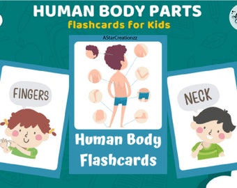 Human Body Parts Flashcards, Body Parts Flashcards, Homeschool Montessori Materials, Digital Design for Instant Download