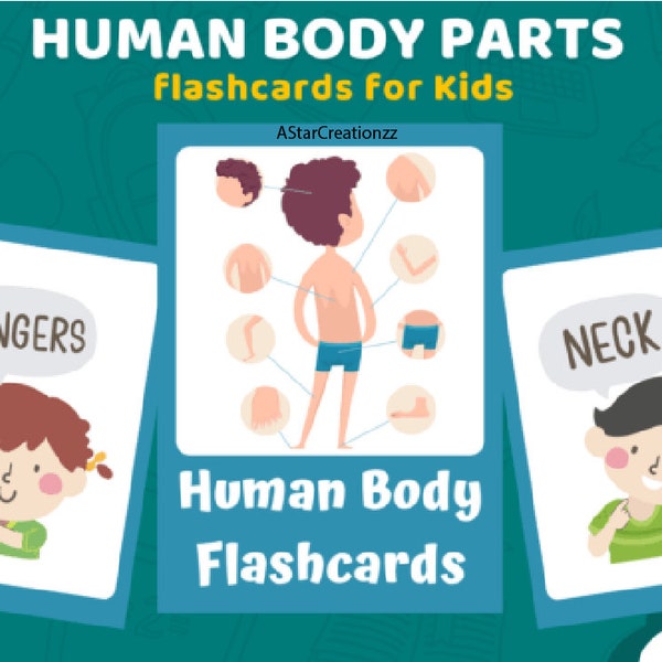Human Body Parts Flashcards, Body Parts Flashcards, Homeschool Montessori Materials, Digital Design for Instant Download