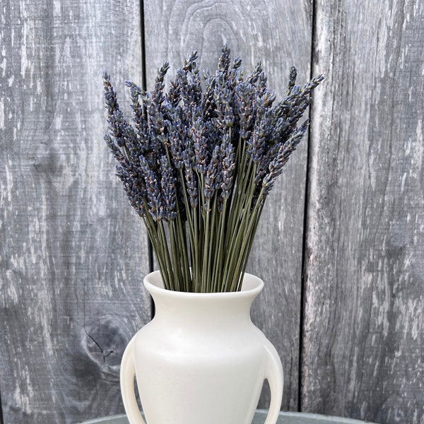 Dried Lavender Bunch, SENSATIONAL Variety Lavender Bouquet, Purple Bouquet, Farmhouse Decor, Tall Dried Flowers  2023 Harvest - FAMILY FARM