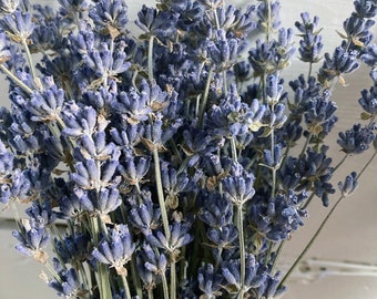 Dried Lavender Bunch, Dark Blue Hidcote, English Lavender, Lavender Bouquet, Lavender Bunch,Lavender Oil, Farmhouse Decor, SMALL FAMILY FARM