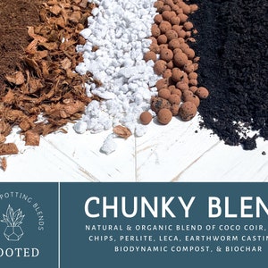 CHUNKY AROID MIX- premium tropical potting mix for - monstera, philodendron, alocasia, calathea, hoya, zz, pothos - Rooted Potting Blends