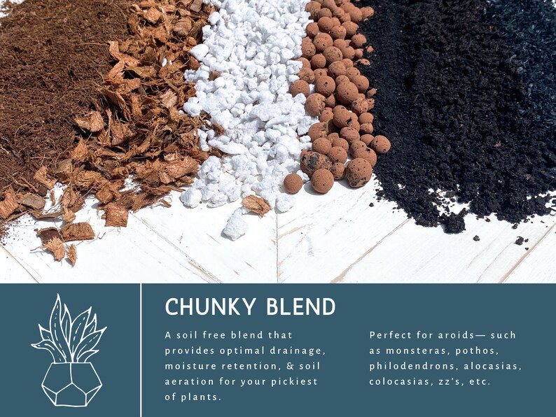 May include: Close-up of four different soil-free potting mixes: coconut coir, white perlite, terracotta clay pebbles, and black potting soil. The text reads "CHUNKY BLEND A soil free blend that provides optimal drainage, moisture retention, & soil aeration for your pickiest of plants. Perfect for aroids - such as monsteras, pothos, philodendrons, alocasias, colocasias, zz's, etc."