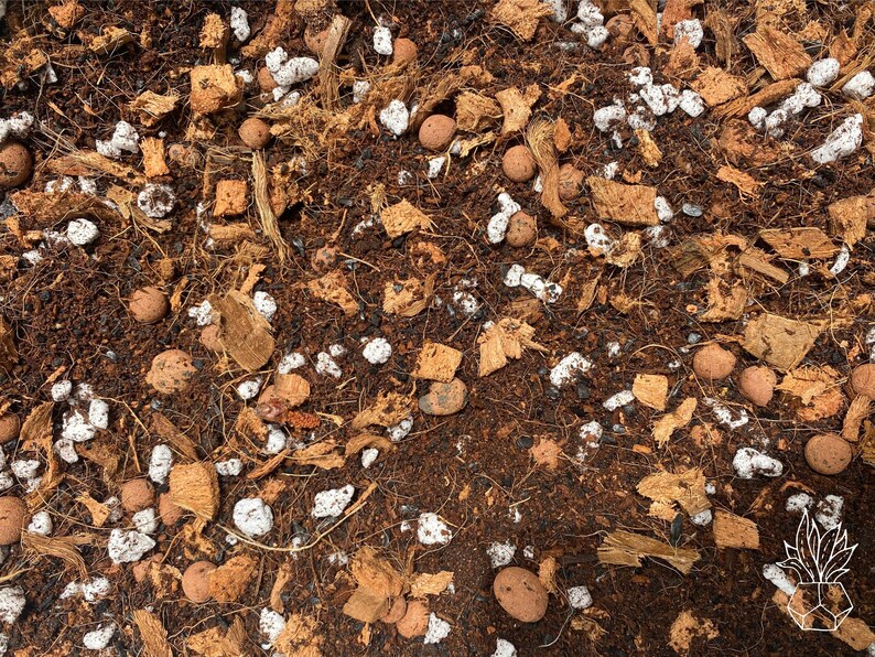 May include: Close-up of a brown soil mix with white and brown coconut husk pieces, small brown clay balls, and white perlite.