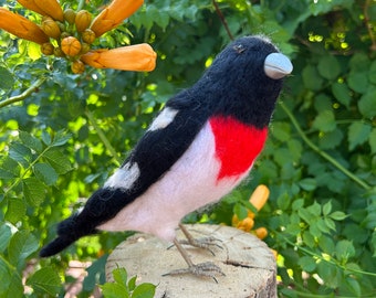 Rose-breasted Grosbeak