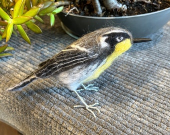 Yellow-throated Warbler