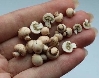 Miniature mushrooms for a dollhouse, 1/12 and 1/6 scale realistic mushrooms,  miniature champignons